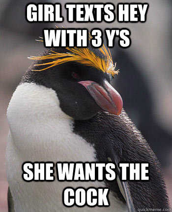Girl texts hey with 3 y's she wants the cock  Socially Overconfident Penguin