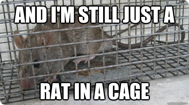 And I'm still just a Rat in a cage  rat in a cage