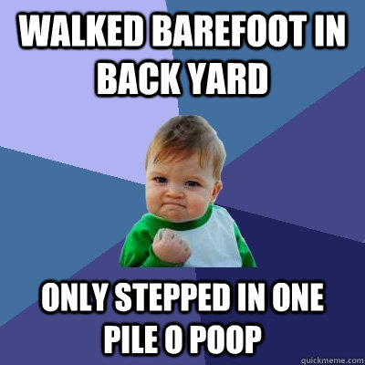 walked barefoot in back yard only stepped in one pile o poop - walked barefoot in back yard only stepped in one pile o poop  Success Kid