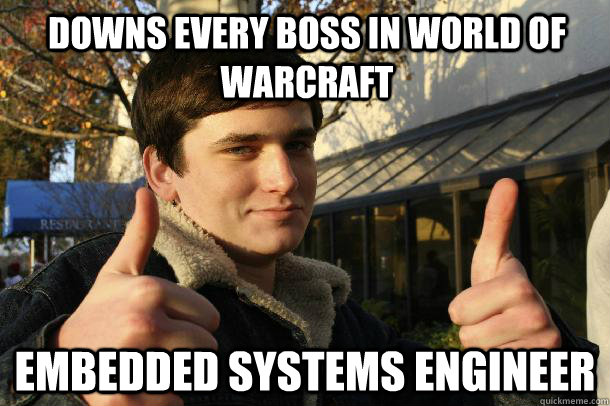Downs every boss in World of Warcraft Embedded systems engineer  Inflated sense of worth Kid