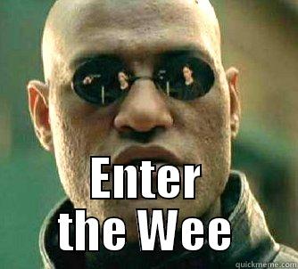  ENTER THE WEE Matrix Morpheus