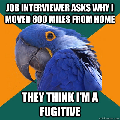 Job interviewer asks why I moved 800 miles from home They think I'm a fugitive  Paranoid Parrot