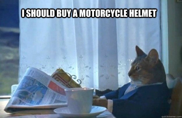 I should buy a motorcycle helmet - I should buy a motorcycle helmet  Sophisticated Cat