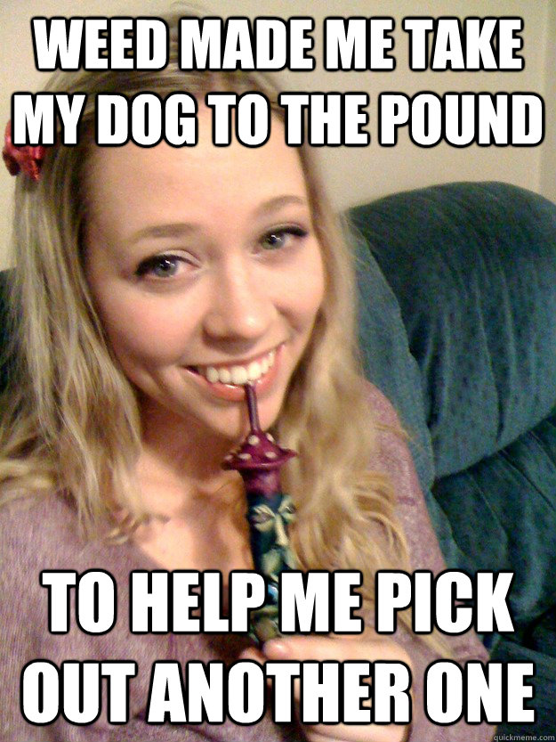 weed made me take my dog to the pound to help me pick out another one - weed made me take my dog to the pound to help me pick out another one  Harmless Stoner