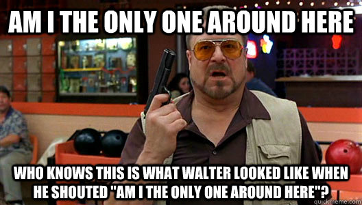 AM I the only one around here Who knows this is what walter looked like when he shouted 