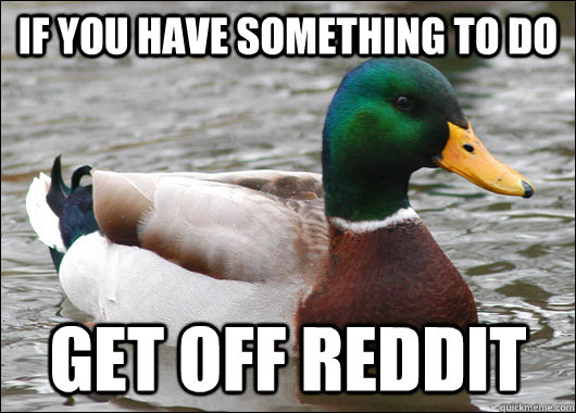 if you have something to do get off Reddit - if you have something to do get off Reddit  Actual Advice Mallard