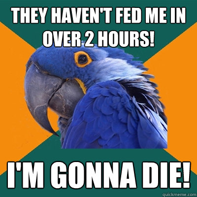 they haven't fed me in over 2 hours! i'm gonna die!  Paranoid Parrot