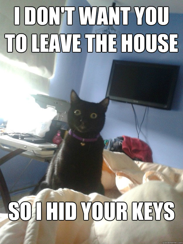 i don't want you to leave the house so i hid your keys - i don't want you to leave the house so i hid your keys  overly attached cat