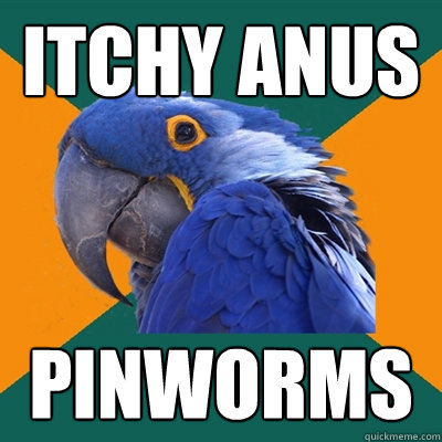 Itchy Anus PINWORMS  Paranoid Parrot