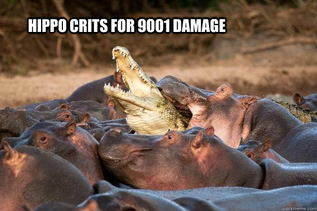 Hippo crits for 9001 damage - Hippo crits for 9001 damage  hippocrit