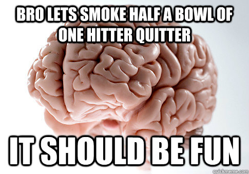 bro lets smoke half a bowl of one hitter quitter it should be fun  Scumbag Brain