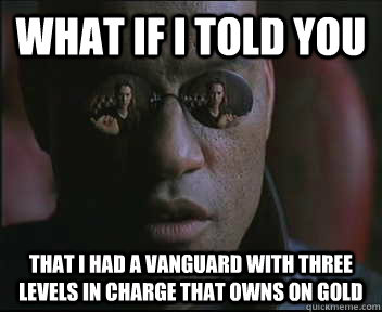 What if I told you That I had a vanguard with three levels in charge that owns on gold  Morpheus SC