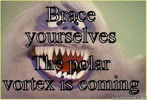 BRACE YOURSELVES THE POLAR VORTEX IS COMING Misc