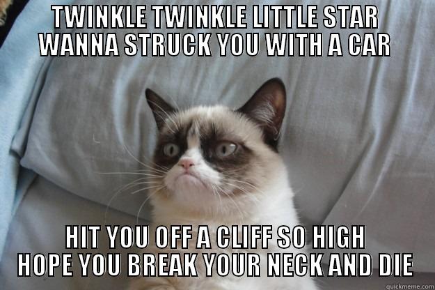        TWINKLE TWINKLE LITTLE STAR        WANNA STRUCK YOU WITH A CAR HIT YOU OFF A CLIFF SO HIGH HOPE YOU BREAK YOUR NECK AND DIE Grumpy Cat