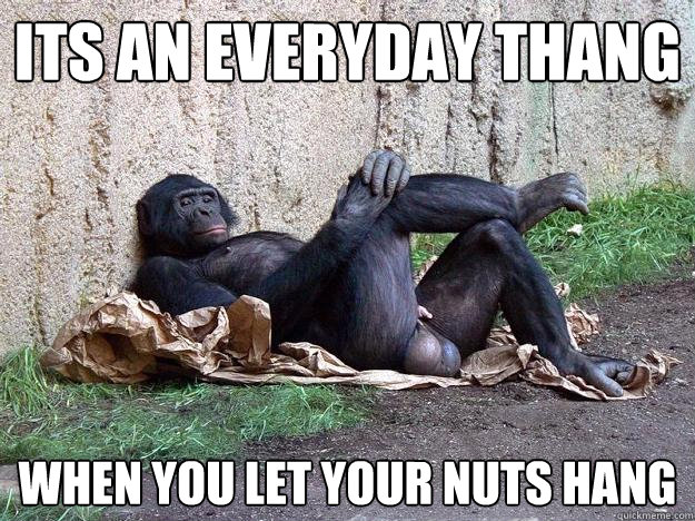 its an everyday thang when you let your nuts hang - its an everyday thang when you let your nuts hang  Hater Monkey