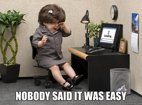 Nobody said it was easy - Nobody said it was easy  PHD before 30