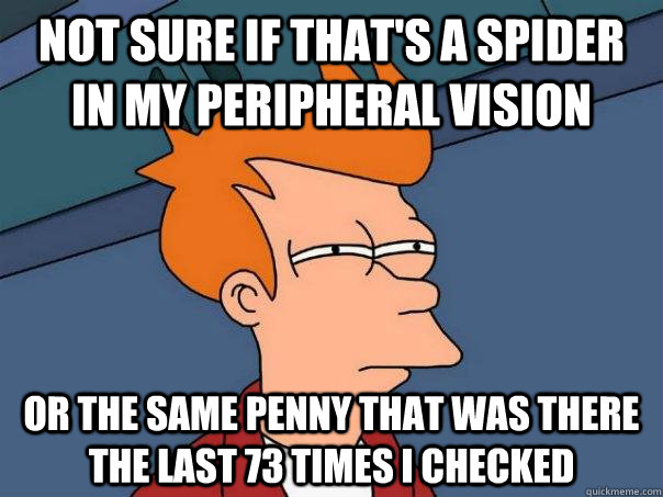 Not sure if that's a spider in my peripheral vision Or the same penny that was there the last 73 times I checked  Futurama Fry
