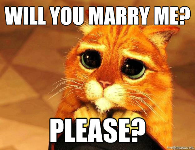 Will you marry me? Please? - Will you marry me? Please?  Puss