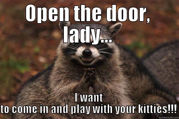OPEN THE DOOR, LADY... I WANT TO COME IN AND PLAY WITH YOUR KITTIES!!! Evil Plotting Raccoon