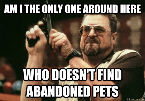 Am I the only one around here Who doesn't find abandoned pets - Am I the only one around here Who doesn't find abandoned pets  Am I the only one