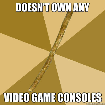 doesn't own any video game consoles - doesn't own any video game consoles  Boring Stick