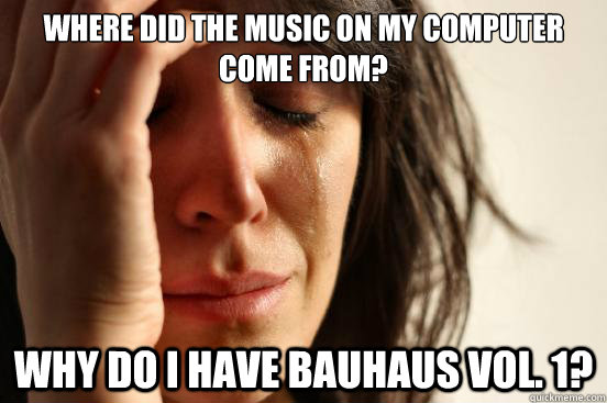 where did the music on my computer come from? Why do I have Bauhaus vol. 1?  First World Problems