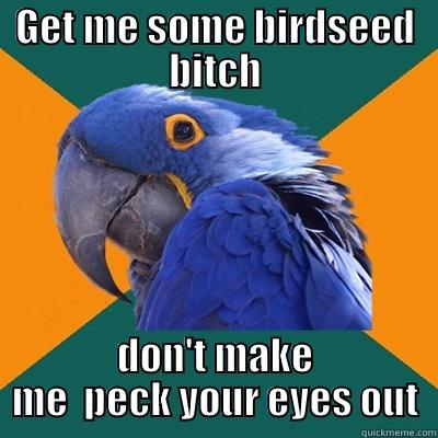 GET ME SOME BIRDSEED BITCH DON'T MAKE ME  PECK YOUR EYES OUT Paranoid Parrot