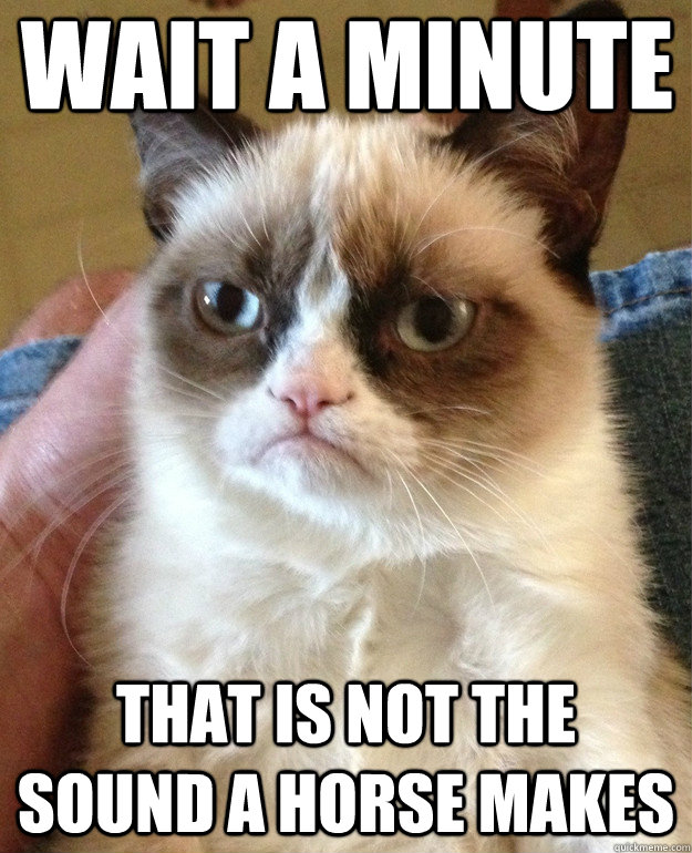 Wait a minute that is not the sound a horse makes  Grumpy Cat