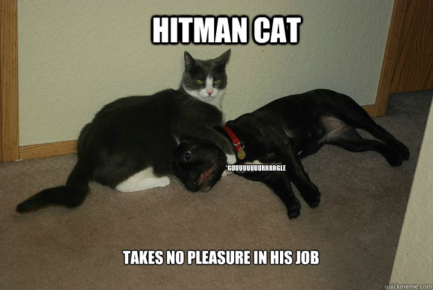 takes no pleasure in his job hitman cat *guuuuuuuurrrrgle
  Revenge Cat