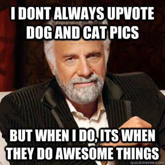 i dont always upvote dog and cat pics but when i do, its when they do awesome things  I Dont Always Call Radio Stations