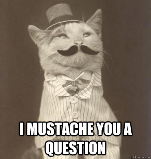  I mustache you a question  Original Business Cat