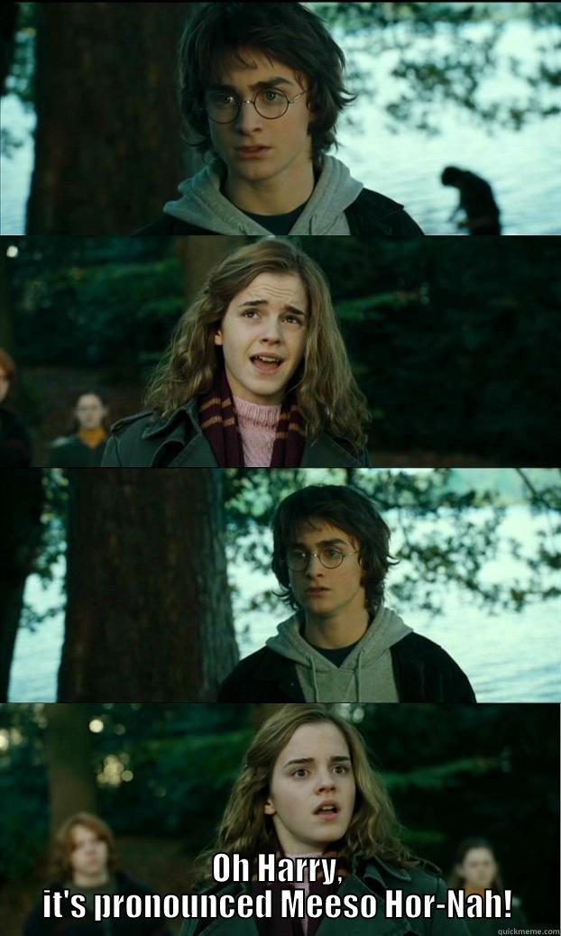  OH HARRY, IT'S PRONOUNCED MEESO HOR-NAH! Horny Harry