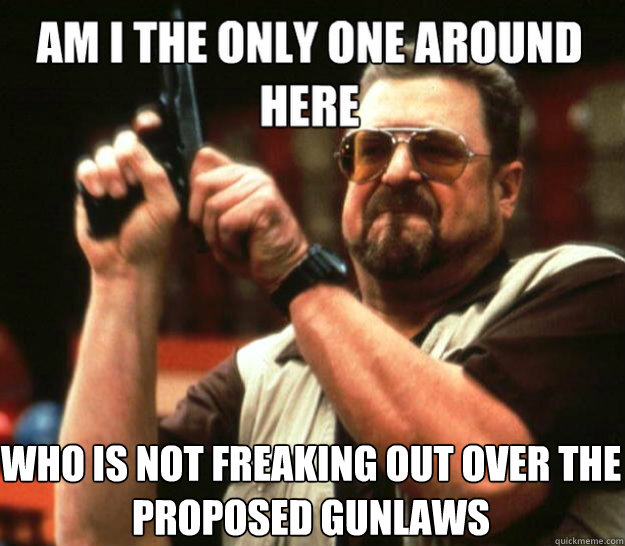 Am I the only gun owner around here who is not freaking out over the proposed gunlaws Caption 3 goes here - Am I the only gun owner around here who is not freaking out over the proposed gunlaws Caption 3 goes here  Misc