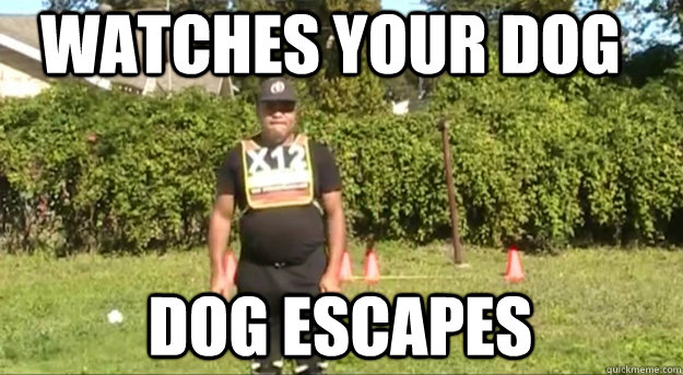 Watches your dog  dog escapes  