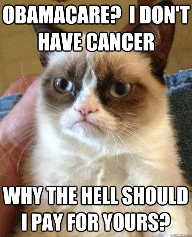 Obamacare?  I don't have cancer why the hell should I pay for yours?  Grumpy Cat