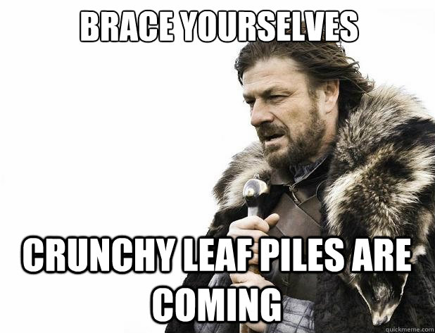 brace yourselves Crunchy Leaf Piles Are Coming - brace yourselves Crunchy Leaf Piles Are Coming  Misc