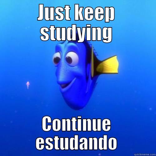 JUST KEEP STUDYING CONTINUE ESTUDANDO dory