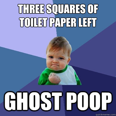 Three squares of toilet paper left ghost poop  Success Kid