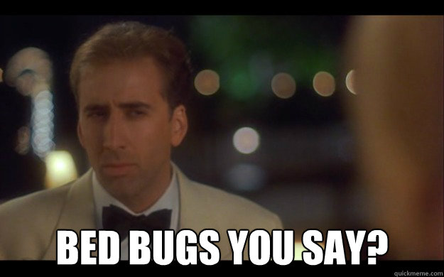  bed bugs you say?  Nicolas Cage