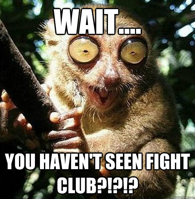 Wait.... You haven't seen fight club?!?!? - Wait.... You haven't seen fight club?!?!?  Over Ecstatic Animal meme