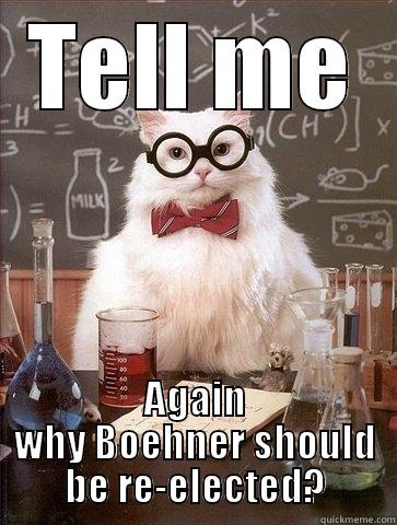 TELL ME AGAIN WHY BOEHNER SHOULD BE RE-ELECTED? Chemistry Cat