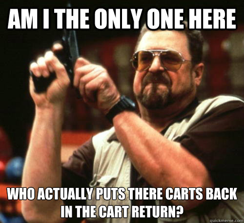 Am I the only one here Who actually puts there carts back in the cart return?  Am I The Only One Around Here