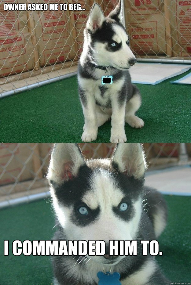 Owner asked me to beg... I commanded him to.  Insanity puppy