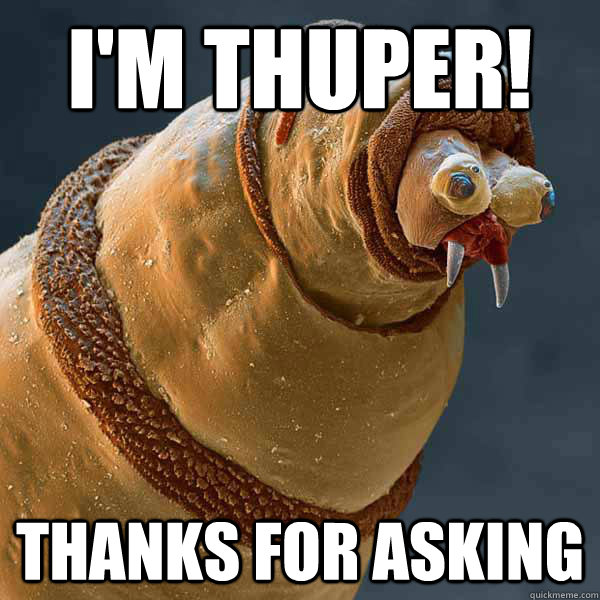 I'M THUPER! THANKS FOR ASKING - I'M THUPER! THANKS FOR ASKING  Faggot Maggot