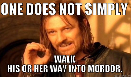ONE DOES NOT SIMPLY  WALK HIS OR HER WAY INTO MORDOR. Boromir