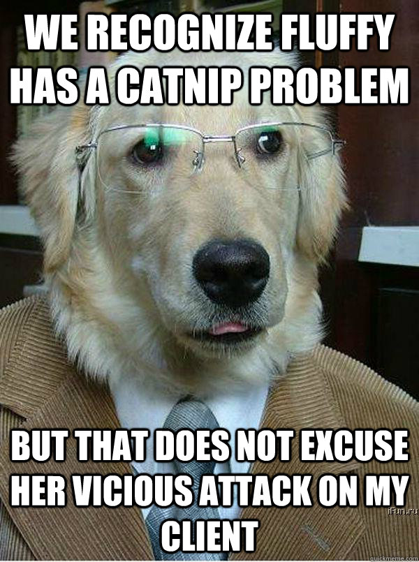 We recognize fluffy has a catnip problem but that does not excuse her vicious attack on my client  Famous Dog Lawyer