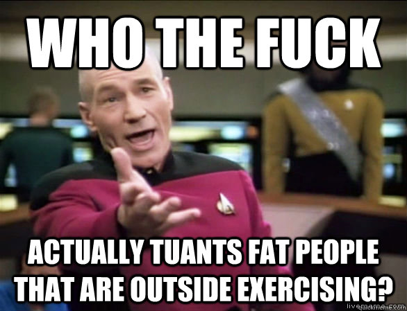 Who the fuck actually tuants fat people that are outside exercising?  Annoyed Picard HD