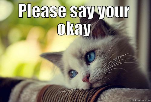 PLEASE SAY YOUR OKAY  First World Problems Cat