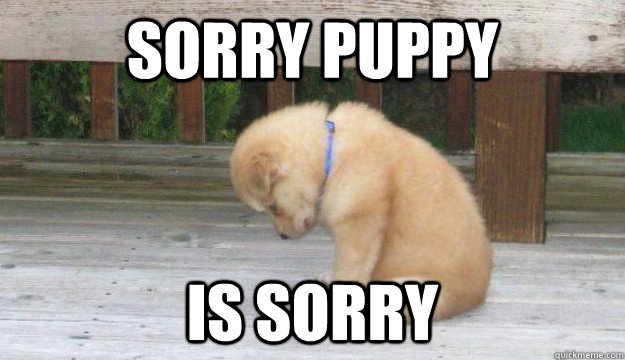 SORRY PUPPY IS SORRY  SORRY PUPPY