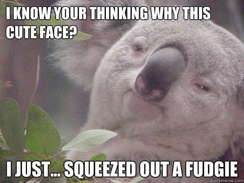 i know your thinking Why this cute face? i Just... squeezed out a fudgie - i know your thinking Why this cute face? i Just... squeezed out a fudgie  Koala
